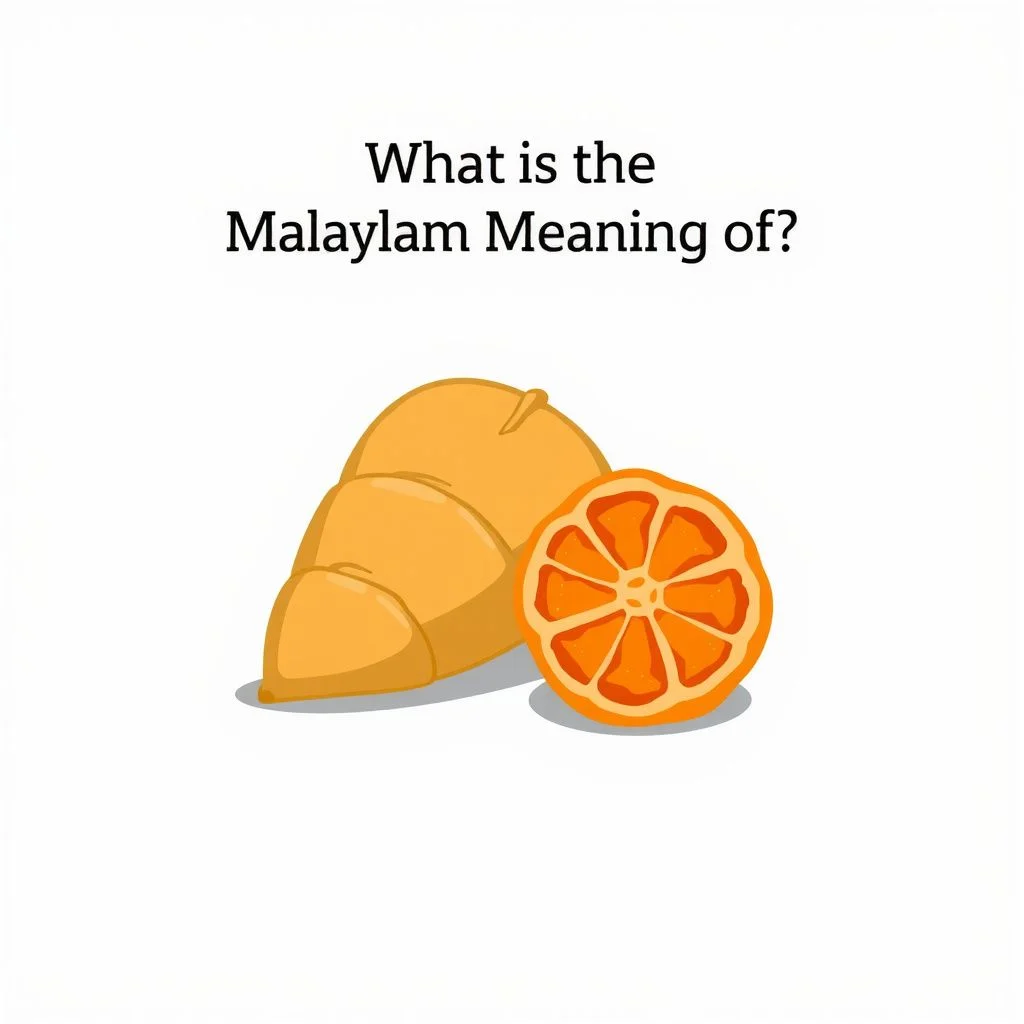 what is the malayalam meaning of illustration