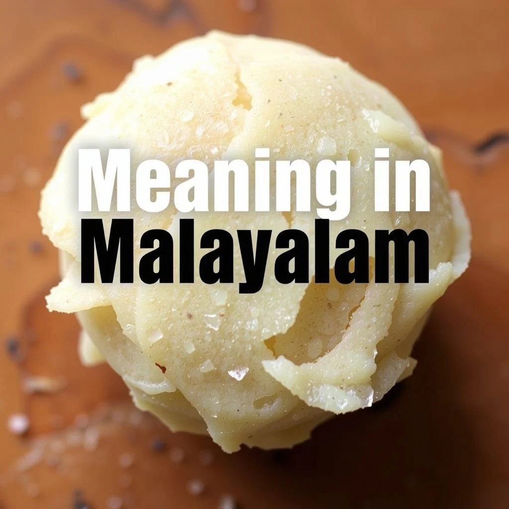 meaning in malayalam illustration